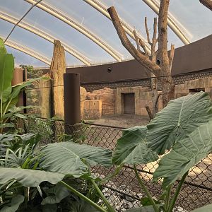 Part of Indian rhino indoors