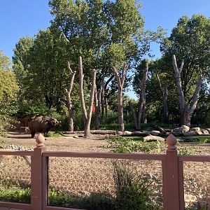 Part of rhino outdoors