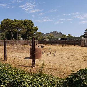 Second (leftmost) elephant enclosure