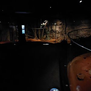 Terra Australis - Desert room