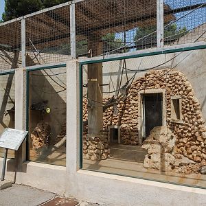 'First' ring-tailed lemur exhibit