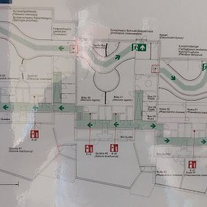 Terra Australis - map