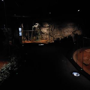 Terra Australis - desert room