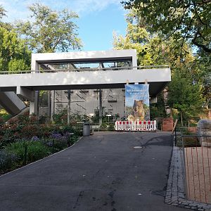 Quokka & gibbon exhibits