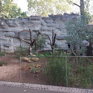 Terra Australis - Long-nosed potoroo exhibit