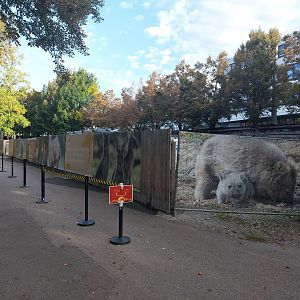 Terra Australis - Future wombat & gray kangaroo exhibit