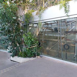 Ape house - 1st Bonobo indoor exhibit