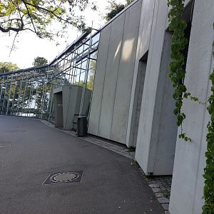 Ape house - Lower entrance