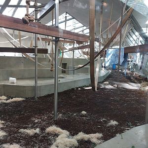 Ape house - 2nd gorilla exhibit