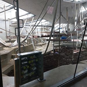 Ape house - 1st gorilla exhibit