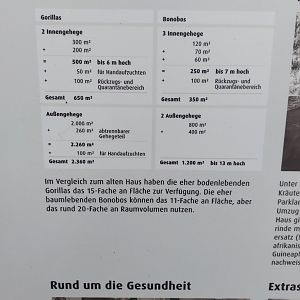 Ape house - Enclosure sizes