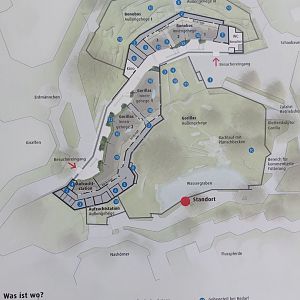 Ape house - map