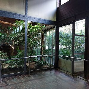 Congo peafowl exhibit