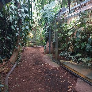 Amazon house - upper pathway with terraria