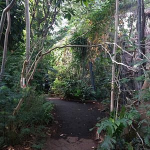 Amazon house - lower pathway