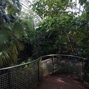 Amazon house - viewpoint