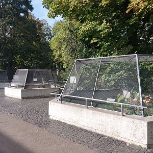 Native herp exhibits