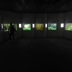 Aquarium - Tropical freshwater section