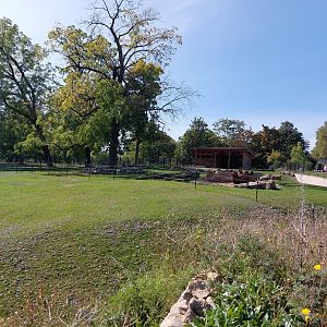 Yak & Bactrian camel exhibits
