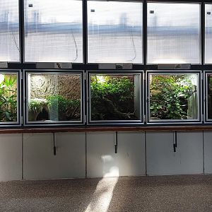 Aquarium - Terrarium examples