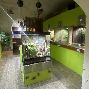 Forest Zone - IOW Reptilarium 150923