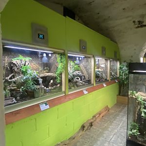 Forest Zone - IOW Reptilarium 150923