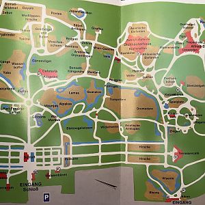 Zoo Map - 1994