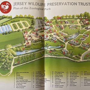 Zoo Map - undated