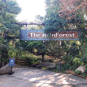 Autumn comes to The RainForest