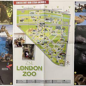 Zoo Map - 2007