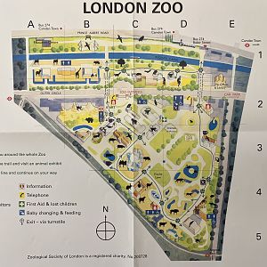 Zoo Map - 2005