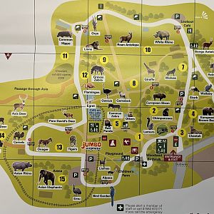 Zoo Map - 2008