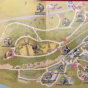 Zoo Map - 2008