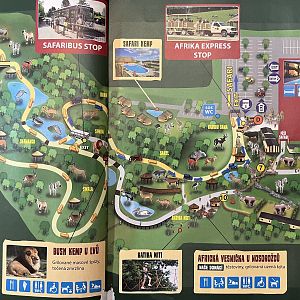 Zoo Map - 2014 (Safari)