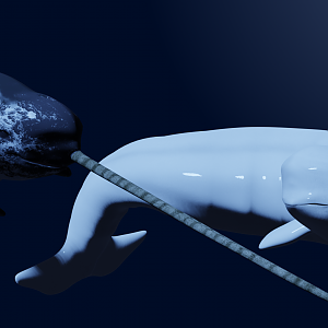 Narwhal and Beluga
