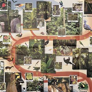 Tropical House Map - undated