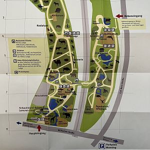 Zoo Map - 2019