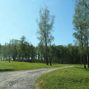 African drive-through safari, 2023-05-19