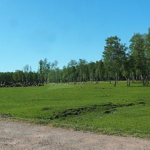 African drive-through safari, 2023-05-19