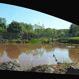 African drive-through safari - Hippopotamus pond separated from main drive-through exhibit, 2023-05-19