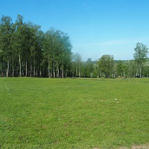 African drive-through safari, 2023-05-19