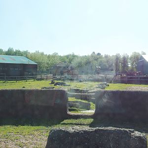 African drive-through safari - Former African bush elephant paddock, now part of the Southern white rhinoceros and warthog paddock, 2023-05-19