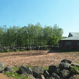 African drive-through safari - Southern white rhinoceros and warthog paddock, 2023-05-19