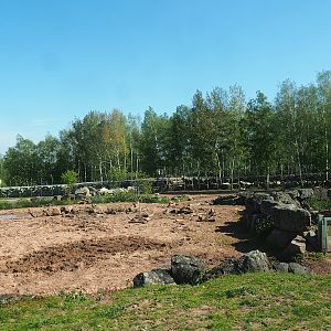 African drive-through safari - Southern white rhinoceros and warthog paddock, 2023-05-19
