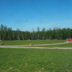 African drive-through safari, 2023-05-19