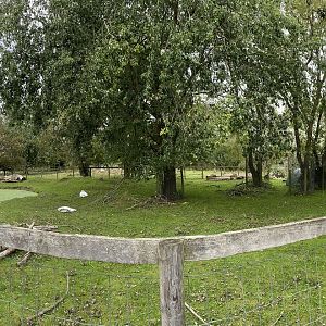 Capybara enclosure, Panoramic, All things Wild, UK