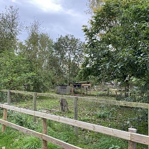 Capybara enclosure, third part, All things Wild, UK