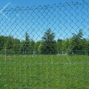 Fallow deer and wapiti paddock, 2023-05-19