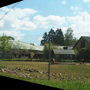 Petting zoo area - Pony and goat paddock, 2023-05-19
