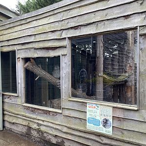 African spotted eagle owl enclosure, All things wild, UK